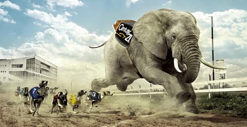 meilleure agence immobilière à la teste de buch cazaux