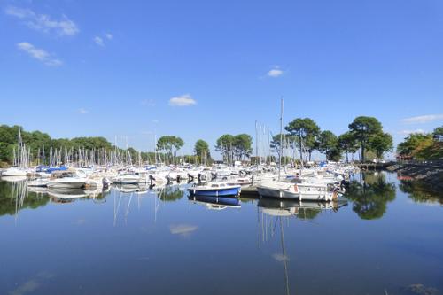 immobilier cazaux _agence immobilière à cazaux lac