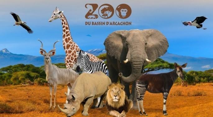 ZOO DE LA TESTE