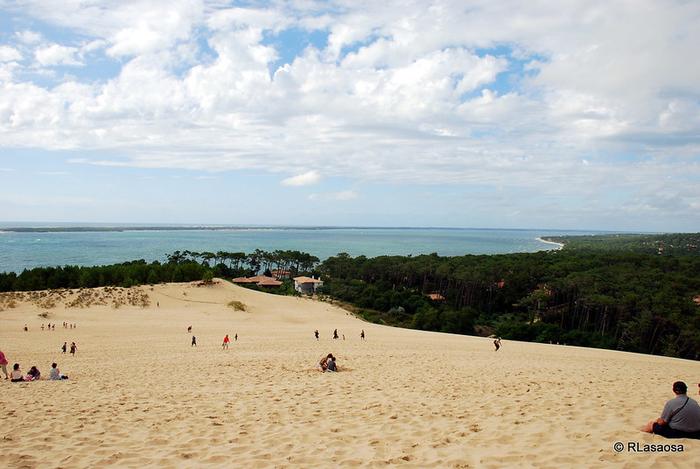 La Teste-de-Buch - Immobilier - CENTURY 21 Duprat Donnesse - dune du Pyla