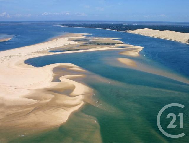 Appartement T2 à vendre - 2 pièces - 43.0 m2 - LA TESTE DE BUCH - 33 - AQUITAINE - Century 21 Duprat & Associés