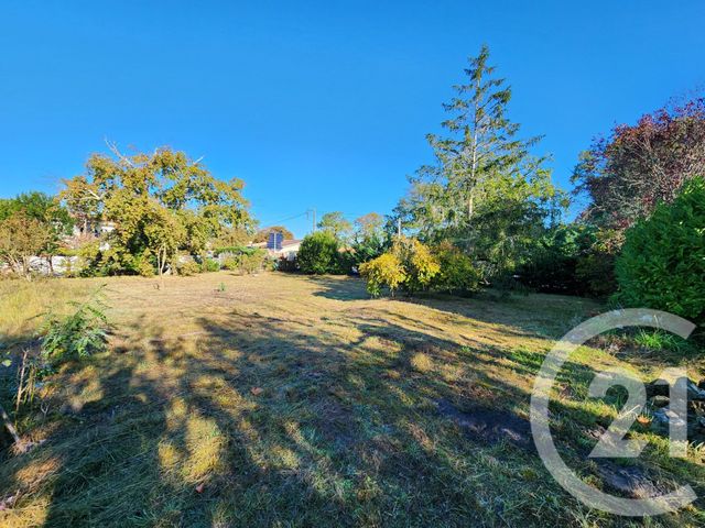 terrain à vendre - 800.0 m2 - LA TESTE DE BUCH - 33 - AQUITAINE - Century 21 Duprat & Associés