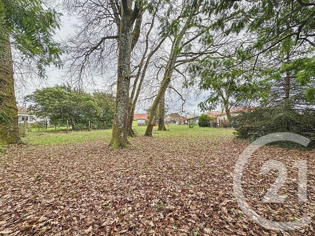 maison à vendre - 4 pièces - 108.87 m2 - LE TEICH - 33 - AQUITAINE - Century 21 Duprat & Associés